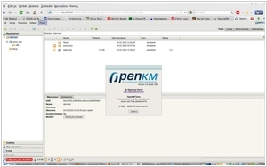 OpenKM